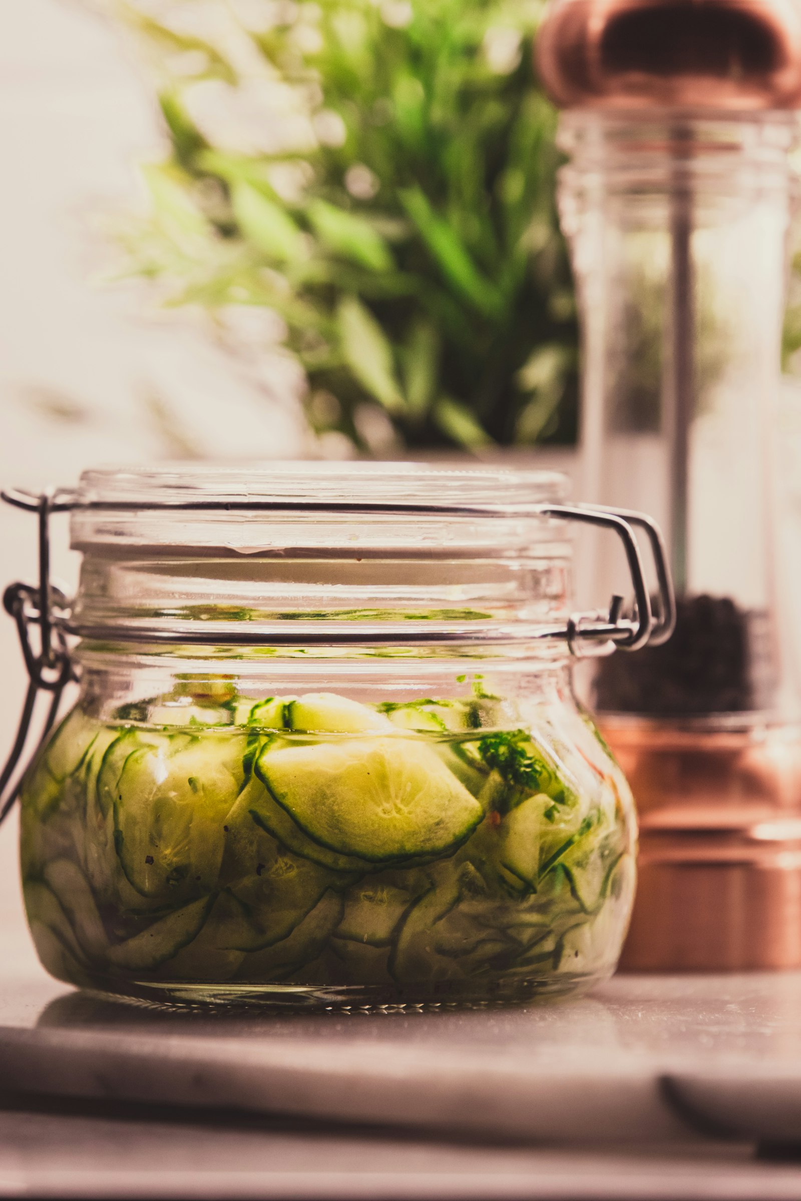 Conserva artesanal de zucchini en aceite de oliva